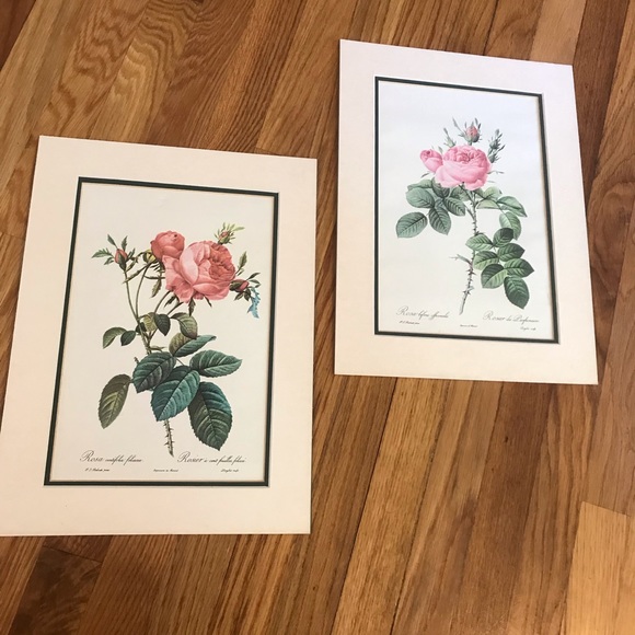 Other - Vintage Rose Prints